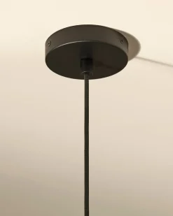 Suspensions><noscript><img width=