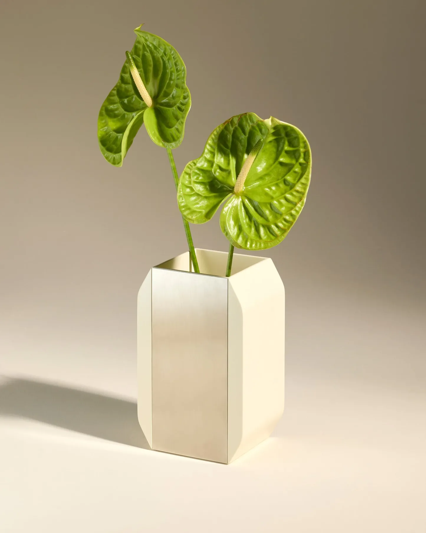 Vases>Maison Sarah Lavoine Vase Oscar - Ecru